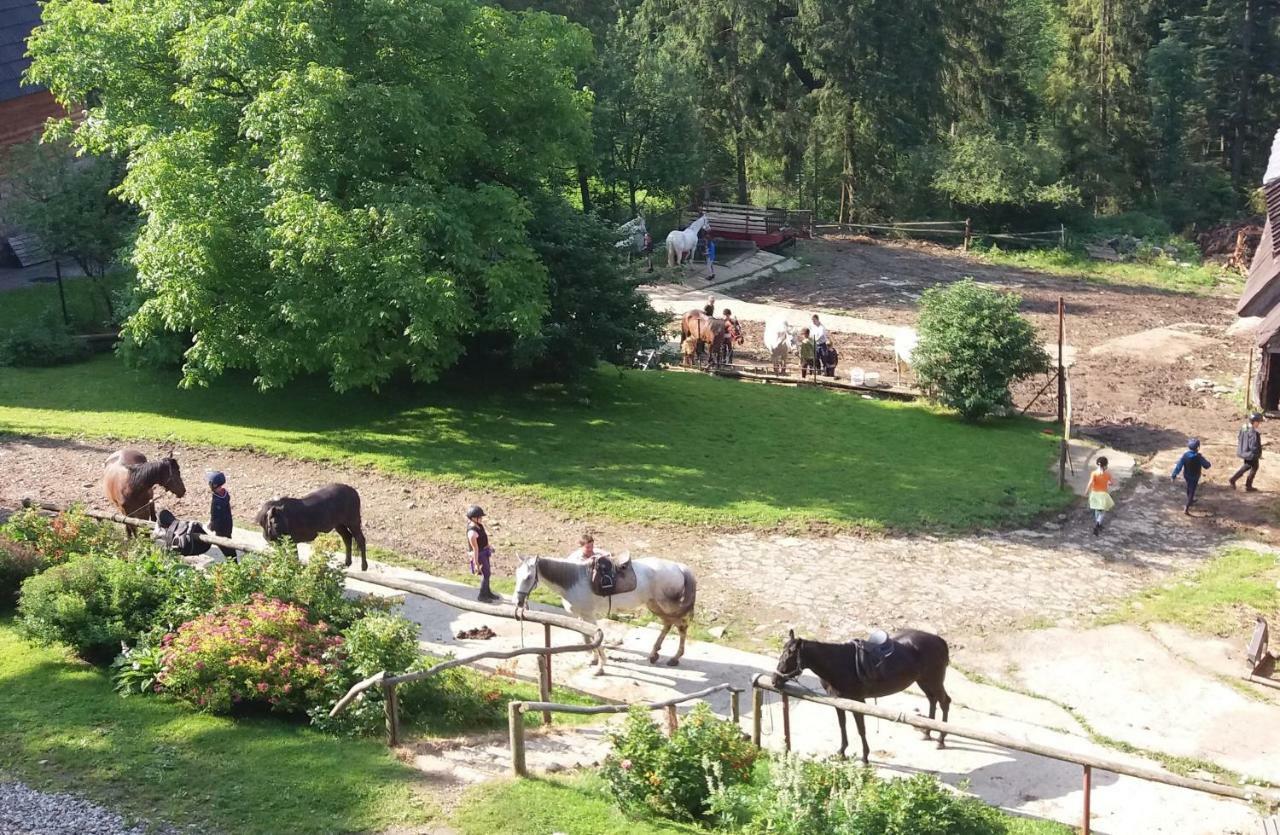 Gorski Osrodek Jezdziecki Bukowina Tatrzańska Buitenkant foto